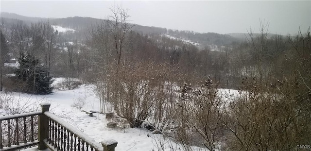 169 Honey Hill Rd, Roseboom, NY 13320 - photo 41