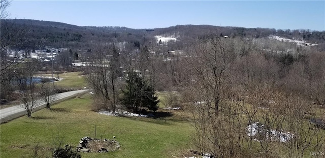 169 Honey Hill Rd, Roseboom, NY 13320 - photo 42