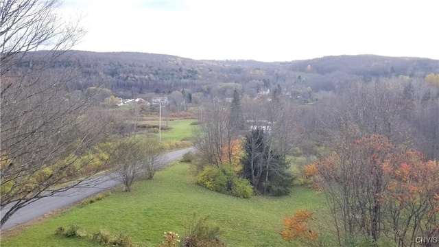169 Honey Hill Rd, Roseboom, NY 13320 - photo 43