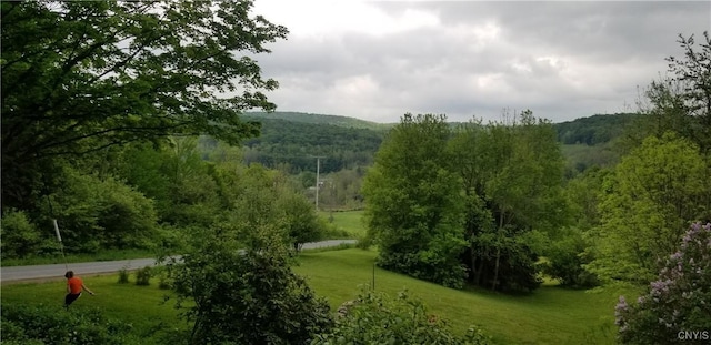 169 Honey Hill Rd, Roseboom, NY 13320 - photo 44