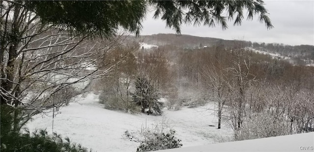 169 Honey Hill Rd, Roseboom, NY 13320 - photo 45
