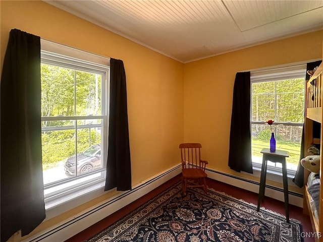 169 Honey Hill Rd, Roseboom, NY 13320 - photo 26