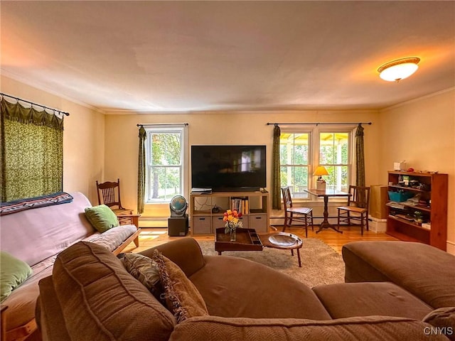 169 Honey Hill Rd, Roseboom, NY 13320 - photo 5