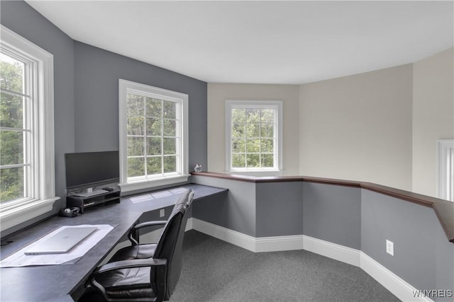 3730 Transit Rd, Orchard Park, NY 14127 - photo 38