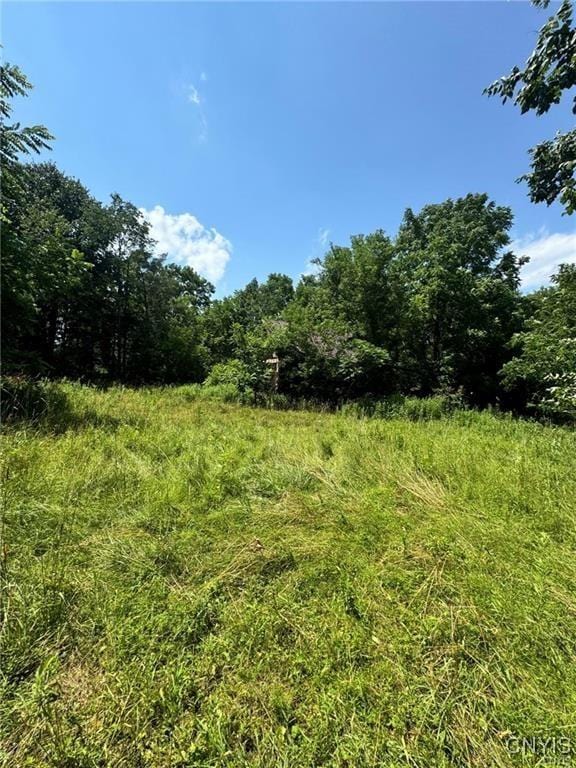 1253 Starr Rd, Cortlandville, NY 13045 - photo 10