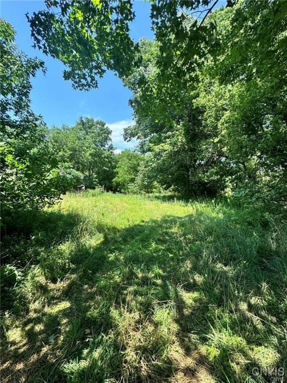 1253 Starr Rd, Cortlandville, NY 13045 - photo 12