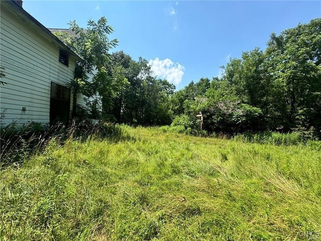 1253 Starr Rd, Cortlandville, NY 13045 - photo 8
