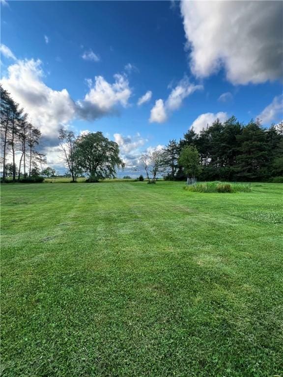 10939 Tannery Creek Rd, Caton, NY 14830 - photo 33