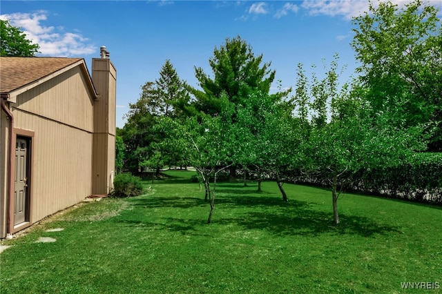 8 Hummingbird Ln, Amherst, NY 14228 - photo 47