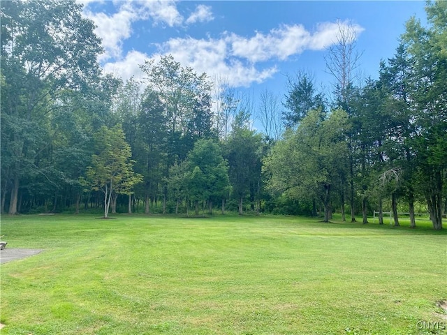711 Prescott Ave, Union, NY 13760 - photo 37