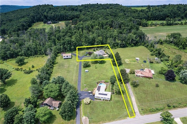 6 Goodhue Ter, Addison, NY 14801 - photo 42