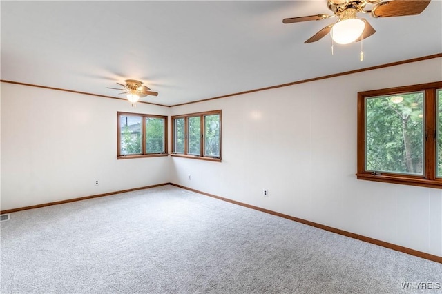 130 Alberta Dr, Amherst, NY 14226 - photo 24