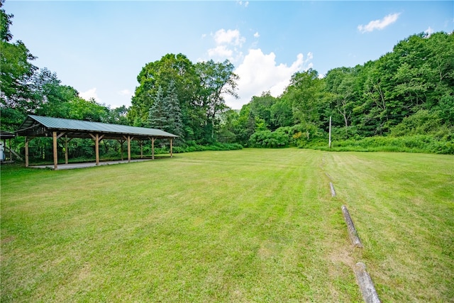 34675 State Highway 10, Hamden, NY 13782 - photo 9