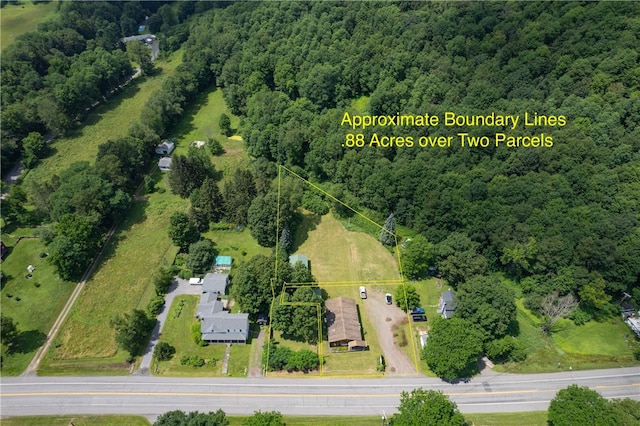 34675 State Highway 10, Hamden, NY 13782 - photo 17