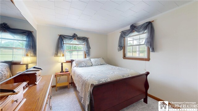 2930 Greenman Rd, Mina, NY 14736 - photo 23