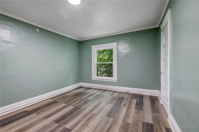 1807 Niagara Ave, Niagara Falls, NY 14305 - photo 34