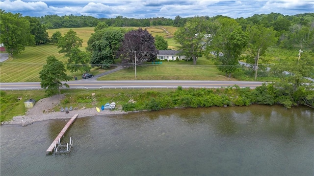 4608 State Route 89, Varick, NY 13148 - photo 2