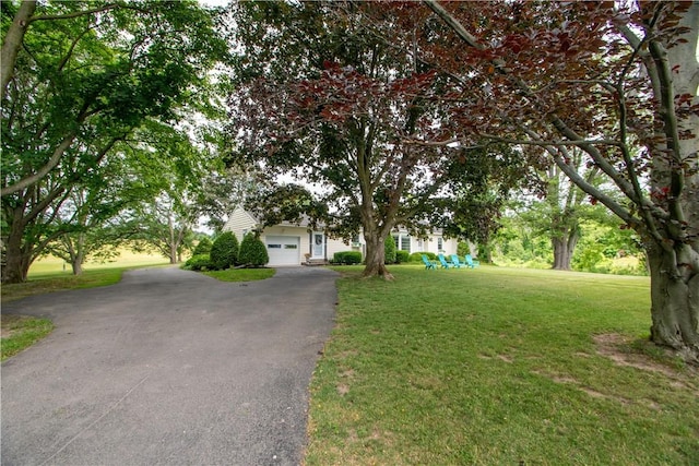 4608 State Route 89, Varick, NY 13148 - photo 3