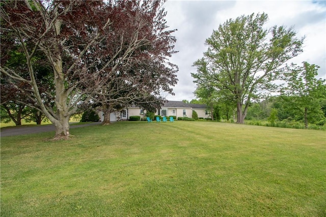 4608 State Route 89, Varick, NY 13148 - photo 4