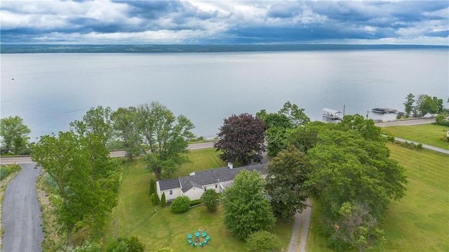 4608 State Route 89, Varick, NY 13148 - photo 5