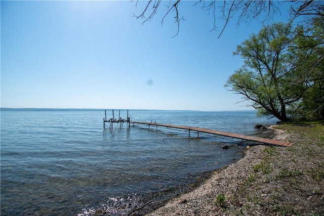 4608 State Route 89, Varick, NY 13148 - photo 42