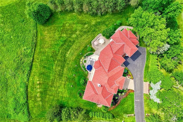 26 Cheshire, Victor, NY 14564 - photo 36