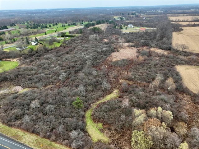 0 Brace Rd Unit 12.9, Acres, Victor, NY 14564 - photo 4