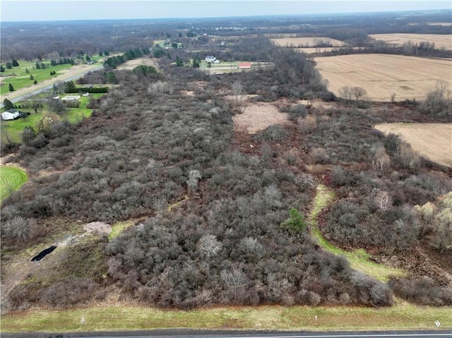 0 Brace Rd Unit 12.9, Acres, Victor, NY 14564 - photo 5