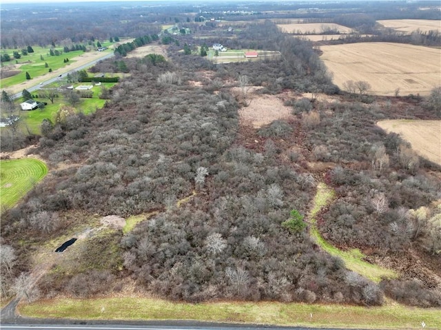 0 Brace Rd Unit 12.9, Acres, Victor, NY 14564 - photo 6