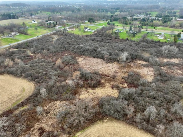 0 Brace Rd Unit 12.9, Acres, Victor, NY 14564 - photo 7