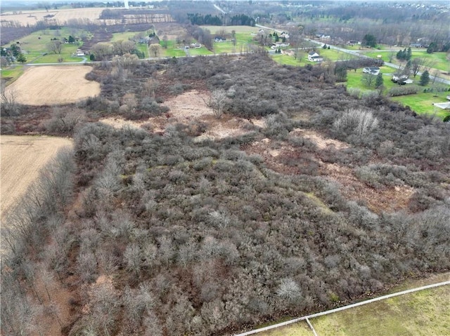 0 Brace Rd Unit 12.9, Acres, Victor, NY 14564 - photo 8