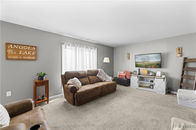 910 Lake St, Evans, NY 14006 - photo 27