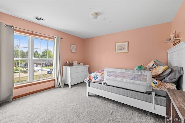 910 Lake St, Evans, NY 14006 - photo 39