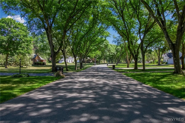 269 Woodland Dr, Orchard Park, NY 14127 - photo 46