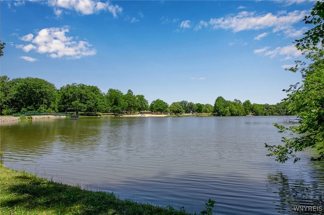 269 Woodland Dr, Orchard Park, NY 14127 - photo 47