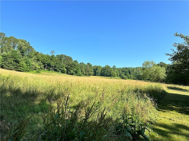 1682 Walton Mountain Rd, Walton, NY 13856 - photo 36