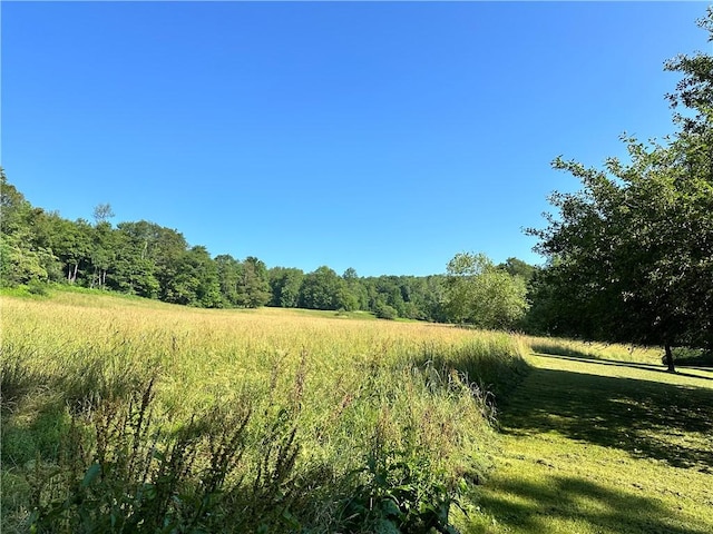 1682 Walton Mountain Rd, Walton, NY 13856 - photo 37
