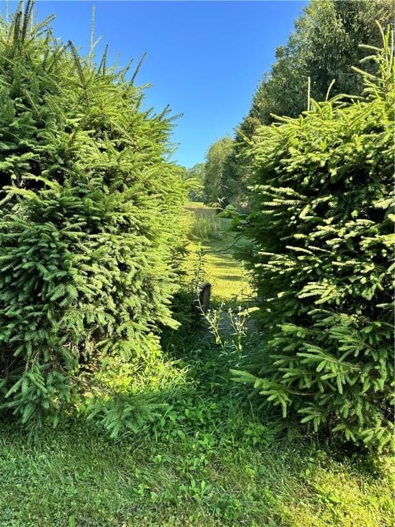1682 Walton Mountain Rd, Walton, NY 13856 - photo 39