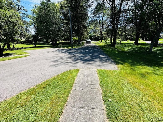 1513 Coon Hill Rd, Skaneateles, NY 13152 - photo 25