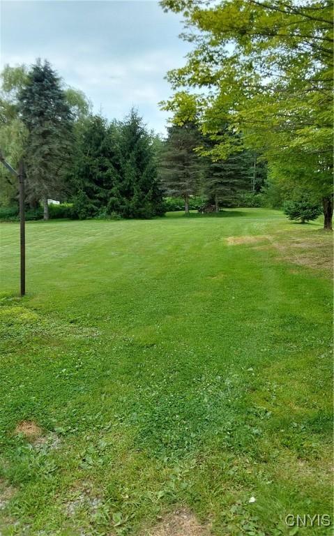 1438 Newport Rd, Schuyler, NY 13431 - photo 45