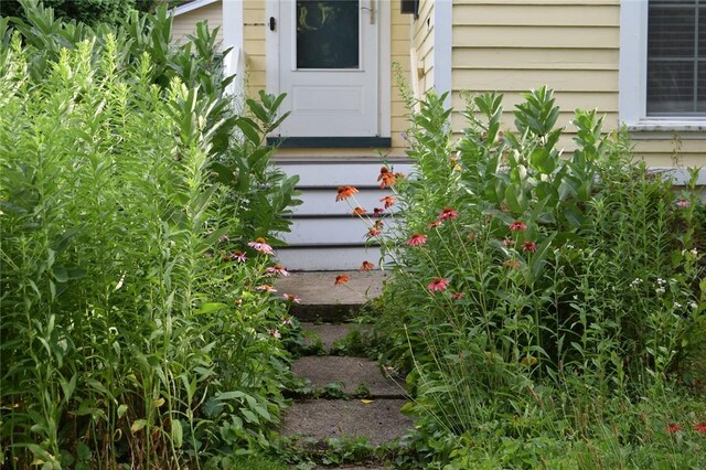 185 Caroline St, Rochester, NY 14620 - photo 3