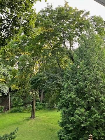 499 Castle St, Geneva City, NY 14456 - photo 41