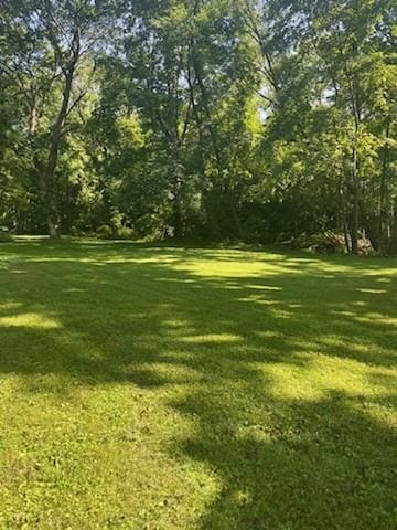 499 Castle St, Geneva City, NY 14456 - photo 42