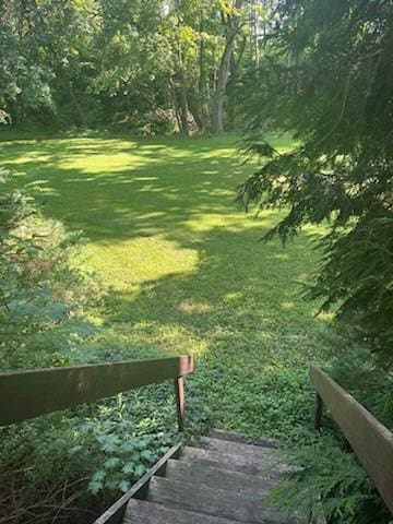 499 Castle St, Geneva City, NY 14456 - photo 43