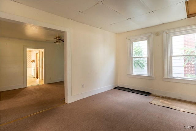 13 E 6th St, Oswego, NY 13126 - photo 7