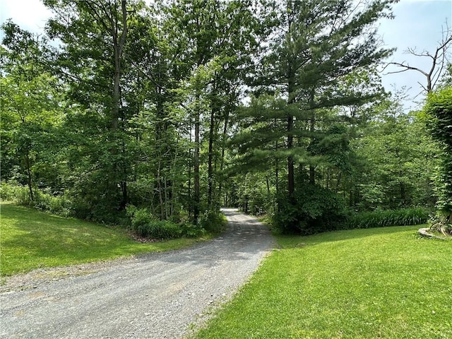 154 Leach Hill Rd, Big Flats, NY 14871 - photo 49