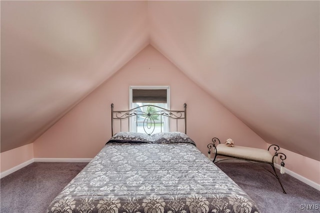 203 Brown Blvd, Brownville, NY 13615 - photo 43