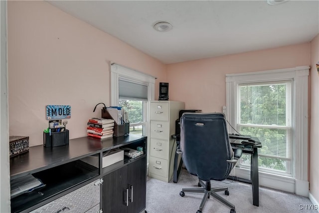 203 Brown Blvd, Brownville, NY 13615 - photo 44