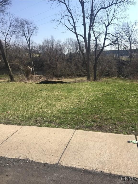 66 W St, Auburn, NY 13021 - photo 1