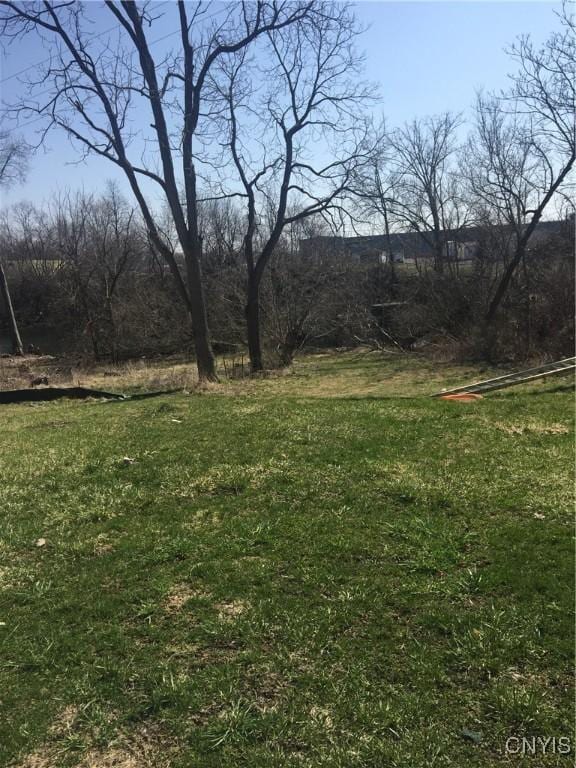 66 W St, Auburn, NY 13021 - photo 2